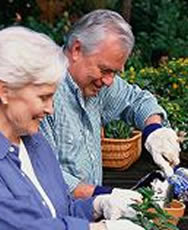 find the highest annuity rates for your employees